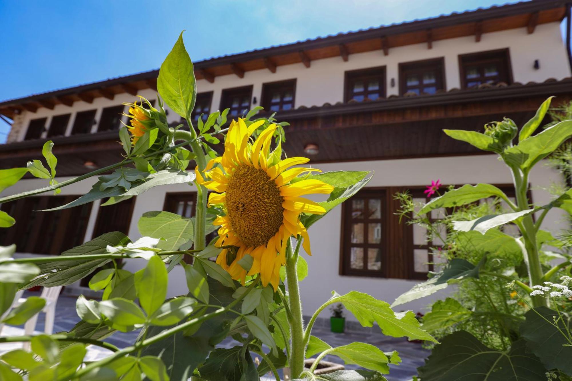 Hotel The House Of Dollma , Inside Kruja Castle Exterior foto